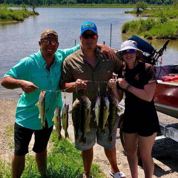 Meet your Posher, Dylan - Picture 1 of 1